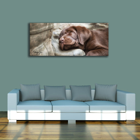 PANORAMIC - YOUNG FAITHFUL - 1.2m x 50cm